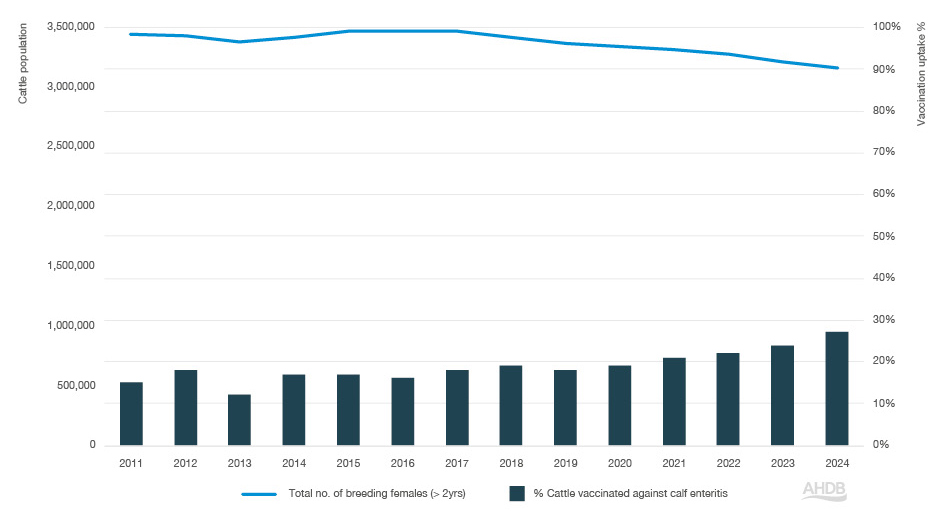 Bar graph with enteritis vaccination data from 2011-2024.